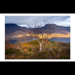 alternate view with border