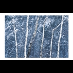 alternate view with border