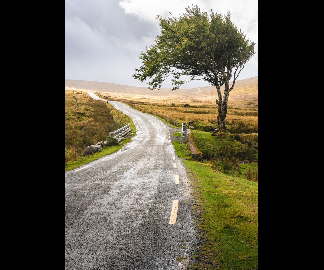 A rainy scene with a lone tree beside a road leading through the mountains