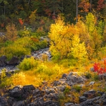 Backlit colorful fall trees bordered by a river and rocks