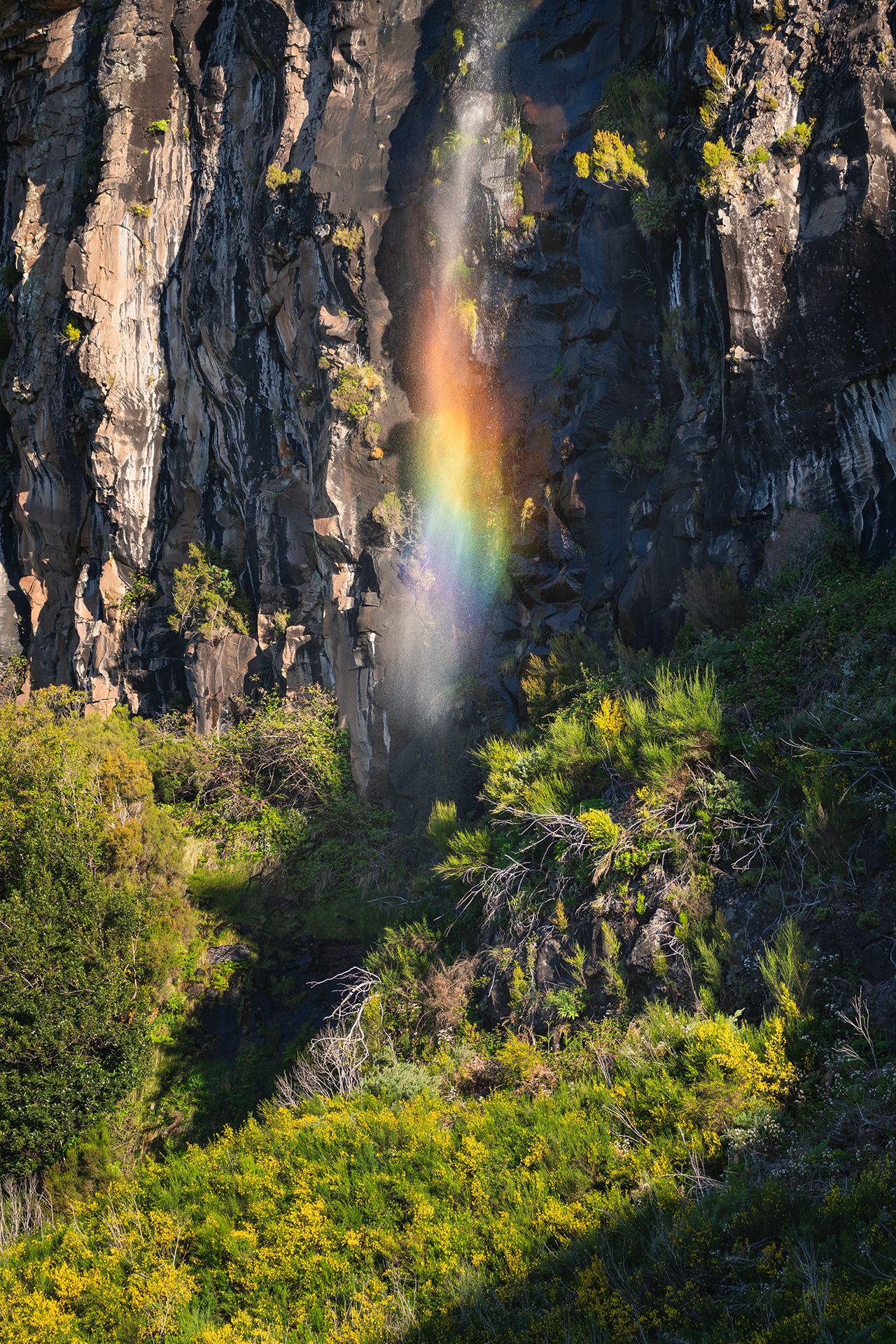 roadside waterfall with a rainbow