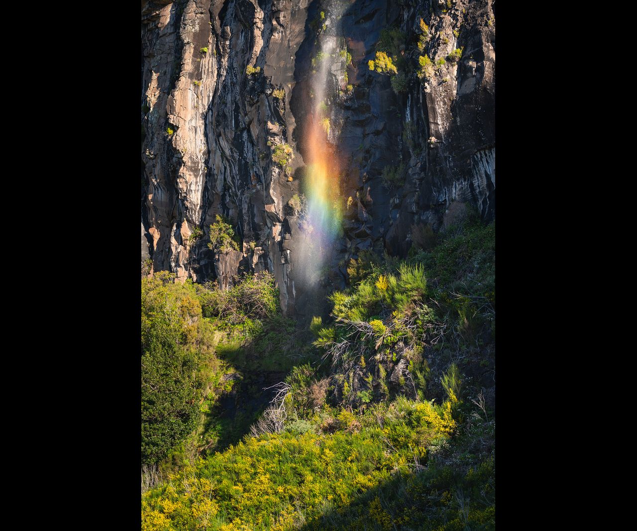 roadside waterfall with a rainbow