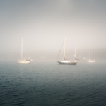 Sailboats in a foggy harbor