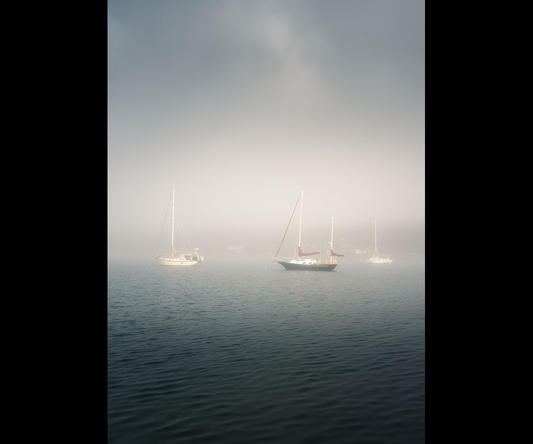 Sailboats in a foggy harbor