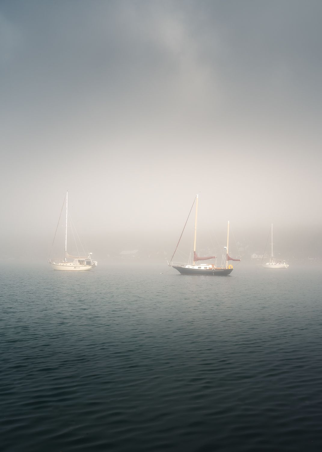 Sailboats in a foggy harbor